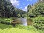 Soudley Ponds