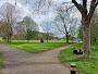 Drayton Green