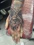 Zoe's Tattoos & Piercings