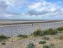 Kinmel Dunes Local Nature Reserve
