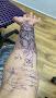 In The Skin Studios Of Tattooing 2