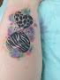 Moose Trax Tattoos
