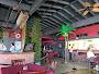 Miami Nights Restaurant And Lounge