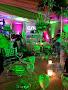 Crickets Bar & Grill