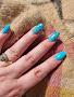 Hereford Nails