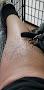 Phenom Ink