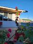 Village Squire Motel