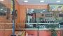 Pizza House 2 Di Khalil Samy
