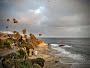 Diver's Cove, Laguna Beach, California, Usa.