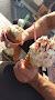 Con Gelato Di Rubagotti Giacomo