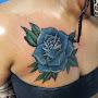 Primal Ink Tattoo Studio
