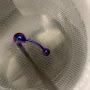 Piercing Euphoria