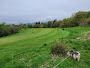 Braehead Golf Club