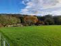 Lesnes Abbey Wood Fossil Park 2