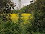 Knowle Hill
