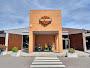 Bar Harley-davidson