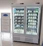 Il Mondo Del Gelato