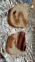 Hazels Sandwiches
