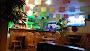 Don Asado Mexican Cuisine