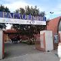 Palaolimpic