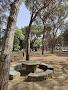 Pinetons Park