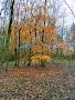 Stoke Woods Car Park