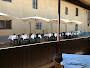 Trattoria San Marchese