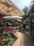 Osteria Trattoria Trieste