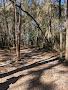 Jonesville Disc Golf Course