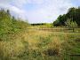 Edlington Pitwood