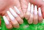Five Star Nails & Hair Spa