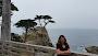Lone Cypress