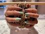 Moon Nails & Spa