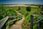 Alnmouth Beach 2
