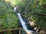 Dolgoch Waterfall