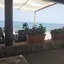Hostaria Le Balle Del Mastro