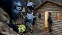 Delta Force Paintball Sheffield
