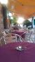 Bar Gedi