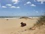 Branksome Dene