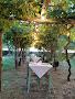Ristorante Osteria Dalla Bianca Di Sandra Ferretti