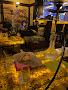 Havana Shisha Lounge