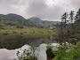 Beddgelert Forest
