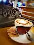 Caffetteria Vezzaro
