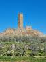 Castello Di Montecchio Vesponi