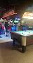 Surf Lounge