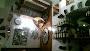Pizzeria Abat-jour