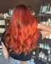 Evolve | Hair