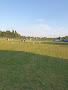 Hollinwood Cricket Club
