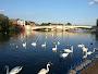 Caversham Bridge 2