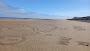 Barkby Beach